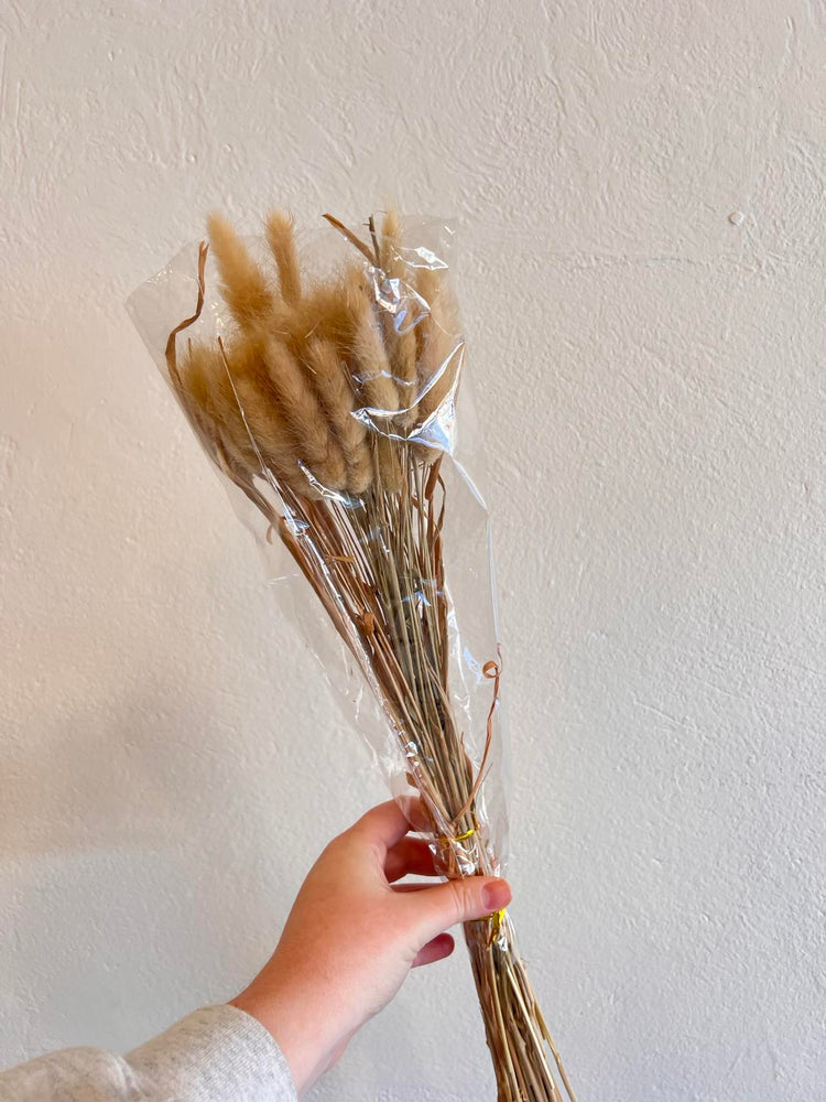 Preserved and Dried Bunny Tails- Natural