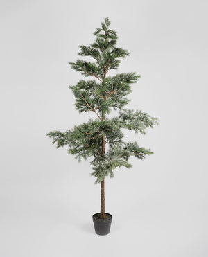 
                  
                    Evergreen Forest Pine with Snow - Large
                  
                