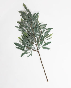 
                  
                    Olive Branch - Large
                  
                
