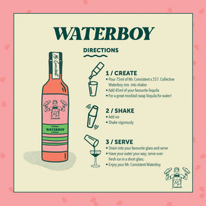 
                  
                    Waterboy Mixer
                  
                