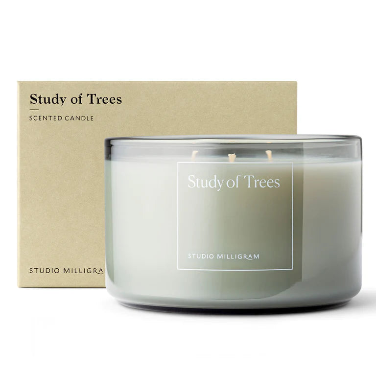 Study of Trees 3 Wick Candle
